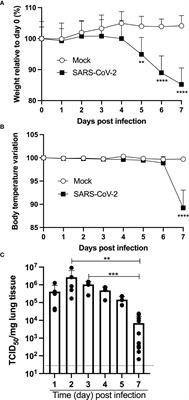 Cytokines and Lipid Mediators of Inflammation in Lungs of SARS-CoV-2 Infected Mice